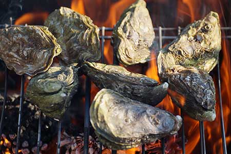 Fonteneau huître Spéciale BBQ XXL Fonteneau Charente Maritime